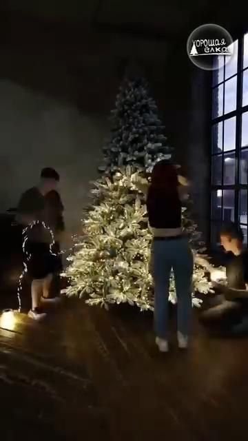 Festive Holiday Setup for Daily Inspiration