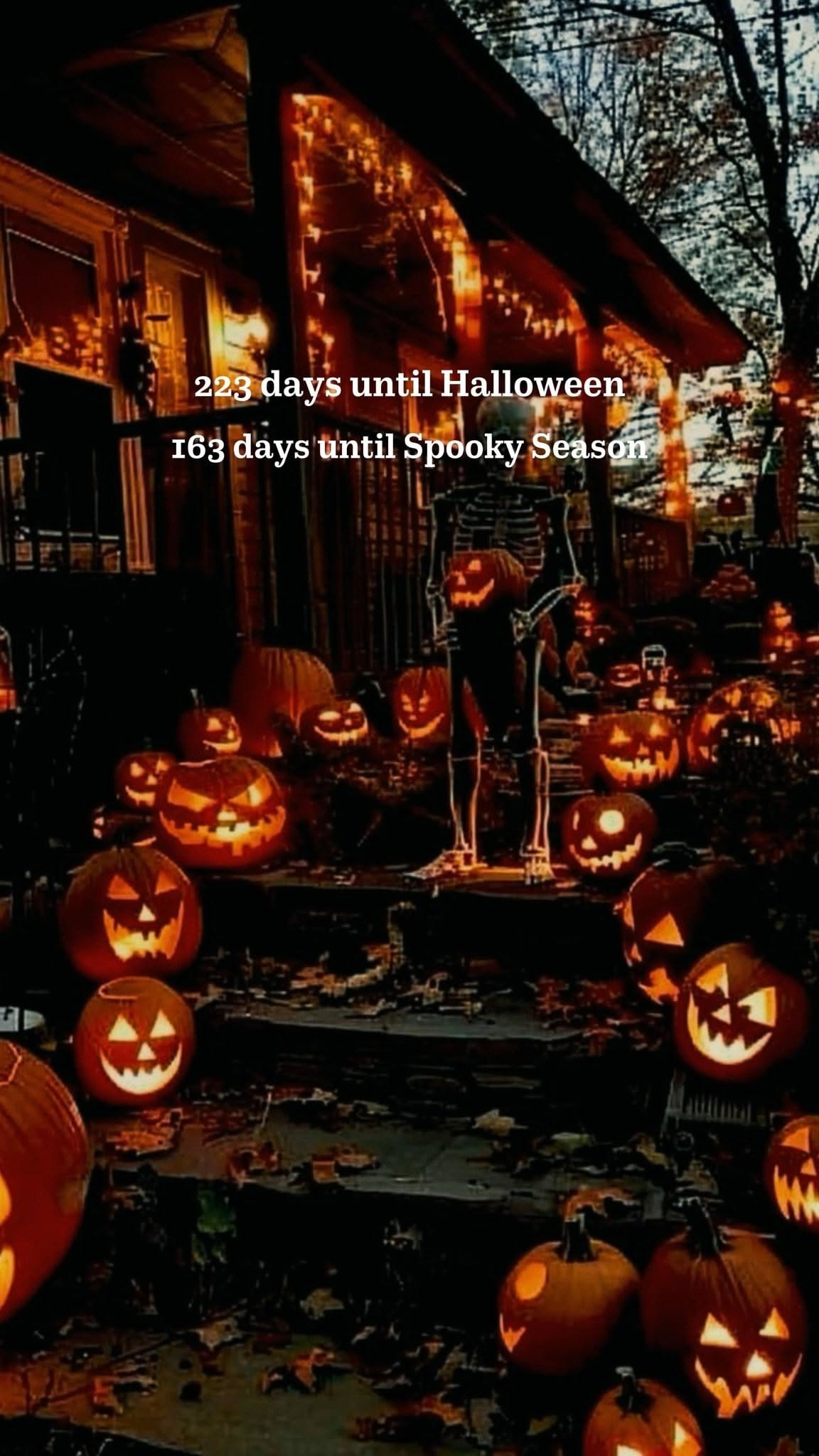 Creative Halloween Decoration Design