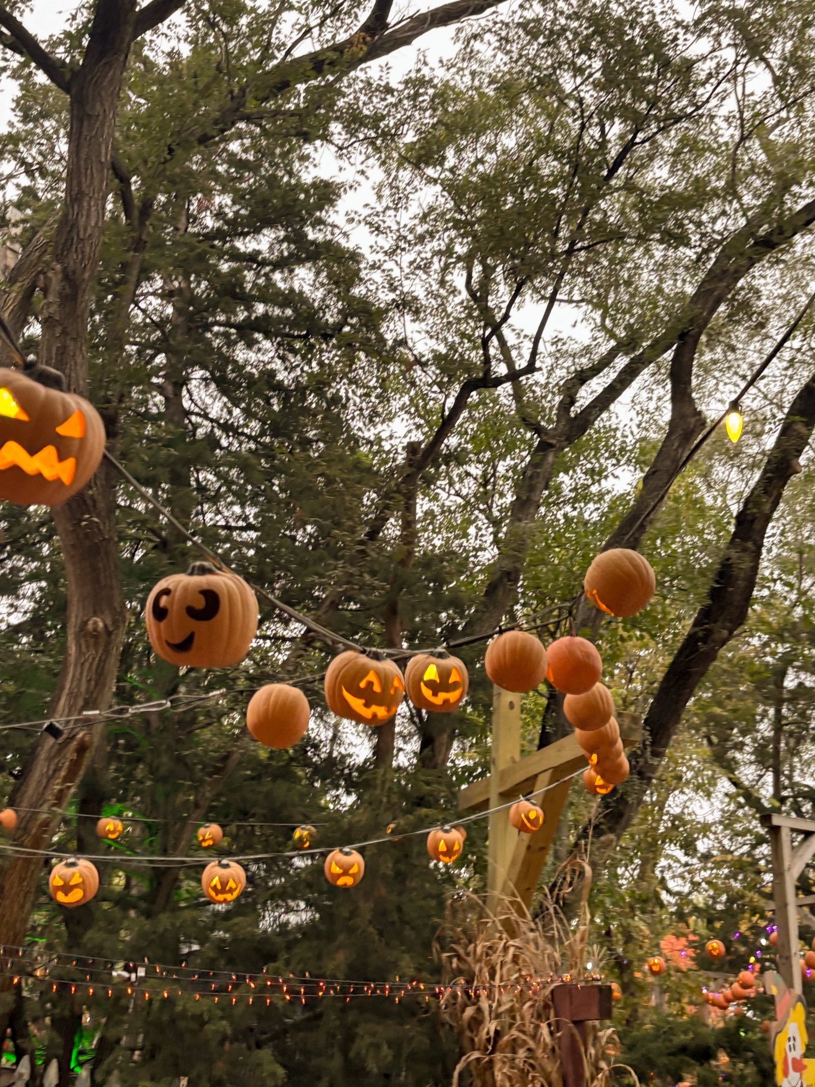 Creative Halloween Decoration Design 4