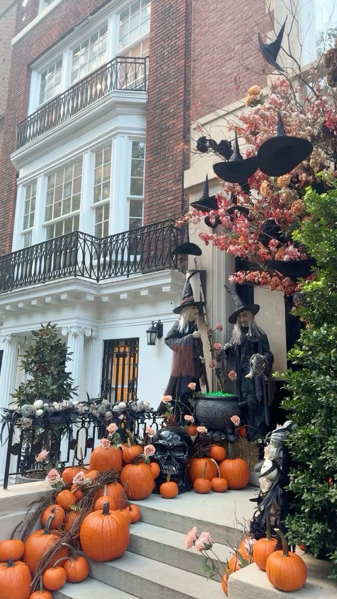 Creepy Halloween Party Decor 4