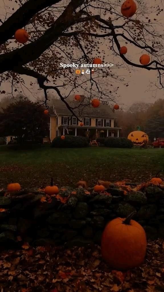 Spooky Halloween Decoration Inspiration 4