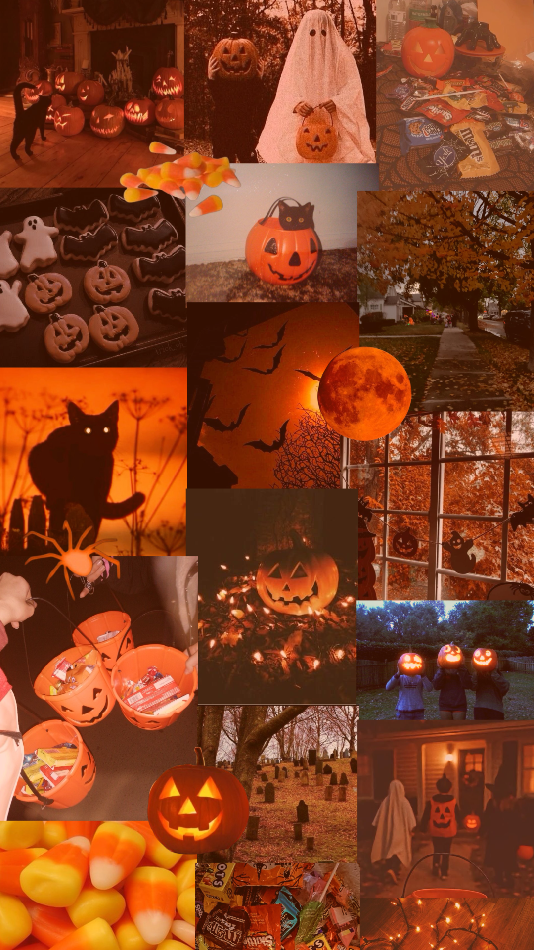 Creative Halloween Decoration Design