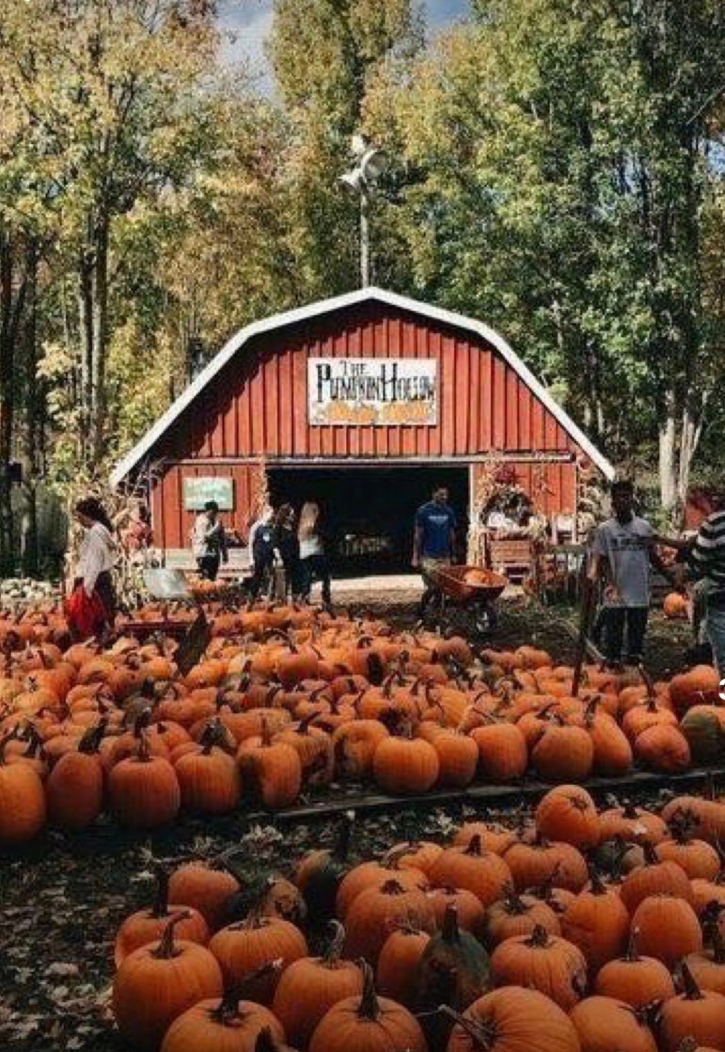 Festive Halloween Party Inspiration