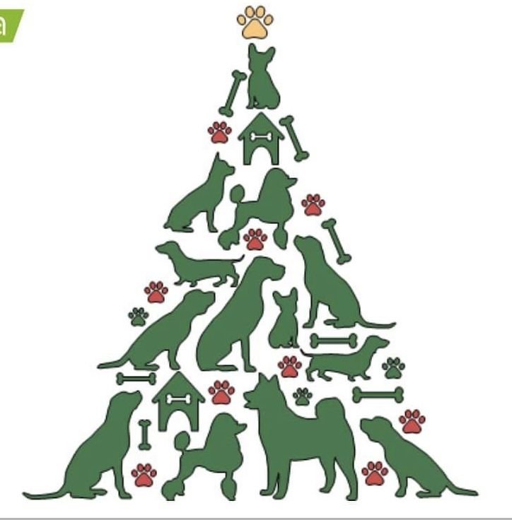 Sparkling Festive Spirit You'll Love