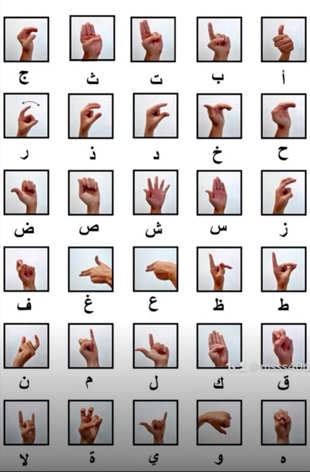 Artistic Arabic Lesson