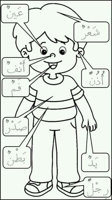 Advanced Arabic Learning