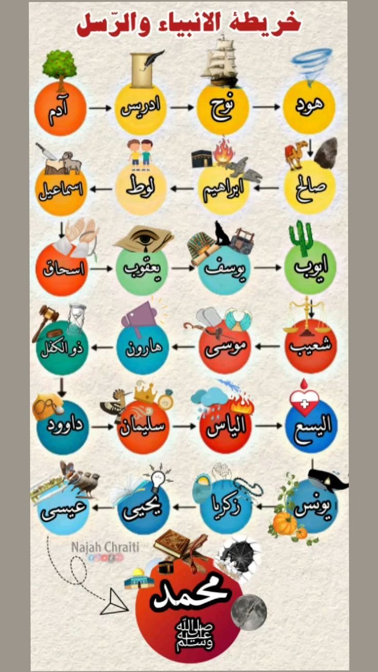 Educational Quran Whiz