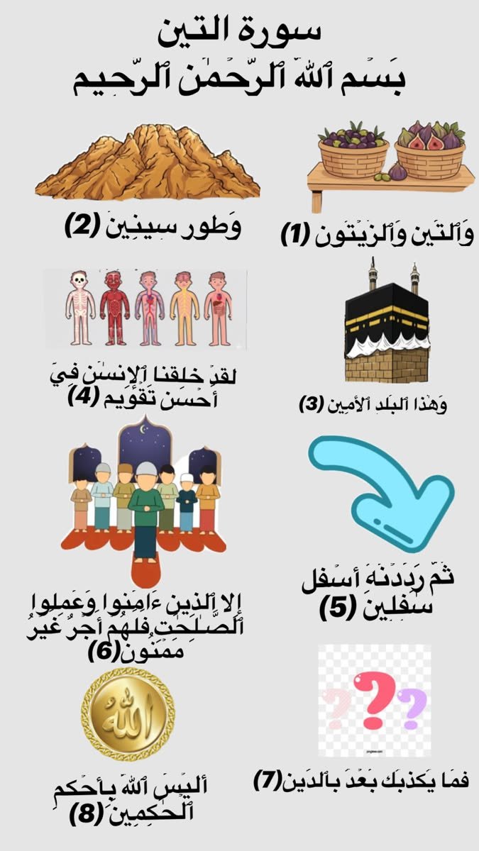 Engaging Quran Whiz