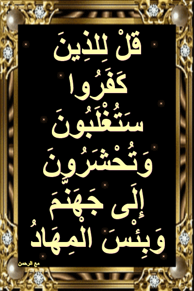 Exciting Quran Scholar