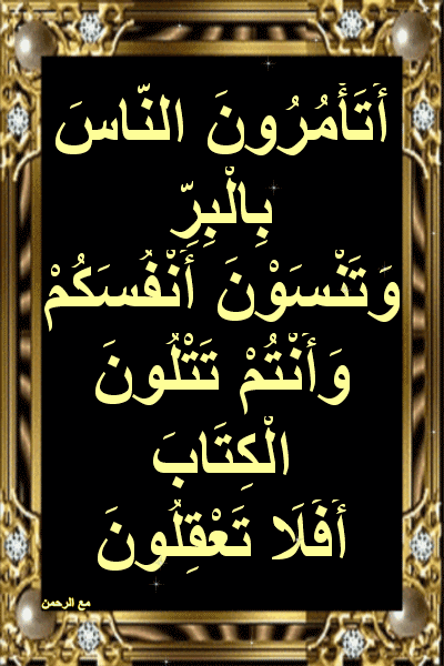 Educational Quran Master