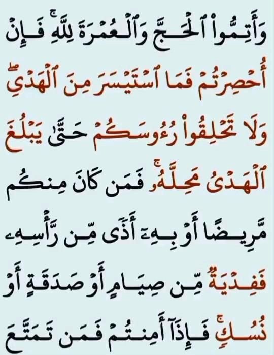 Epic Quran Activity
