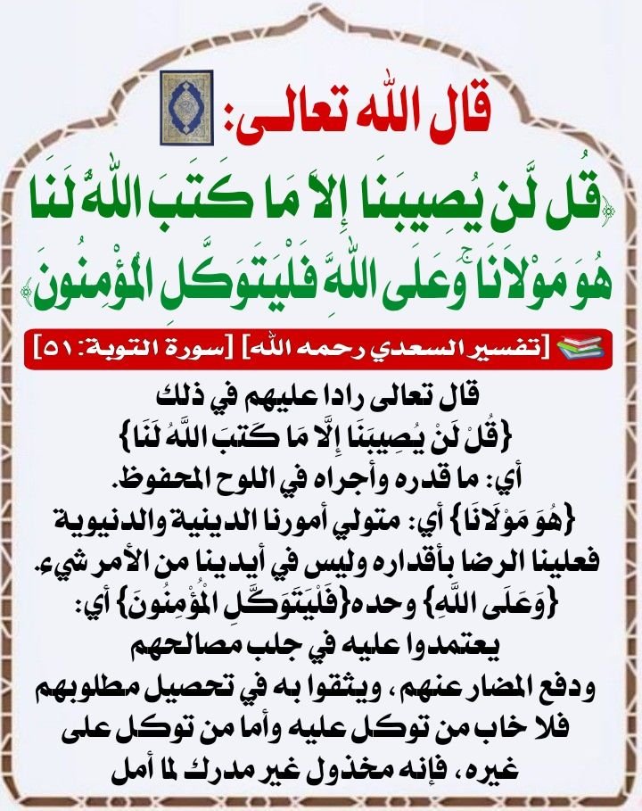 Fantastic Quran Expert