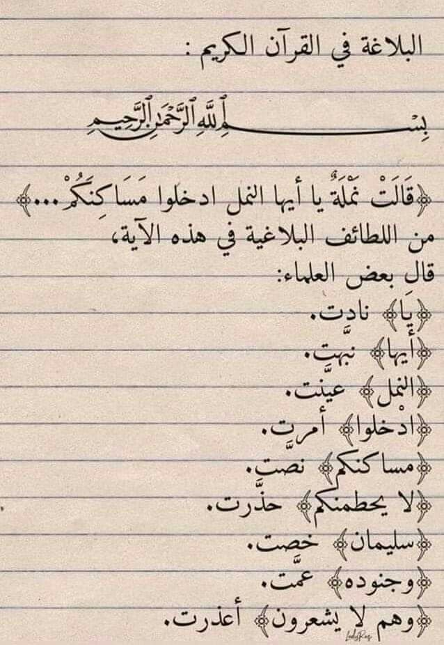 Fantastic Islamic Education