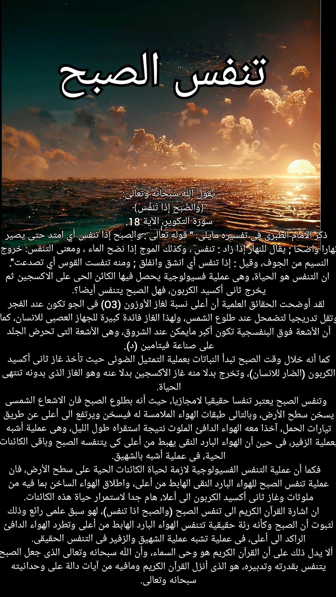 Fun Quran Journey