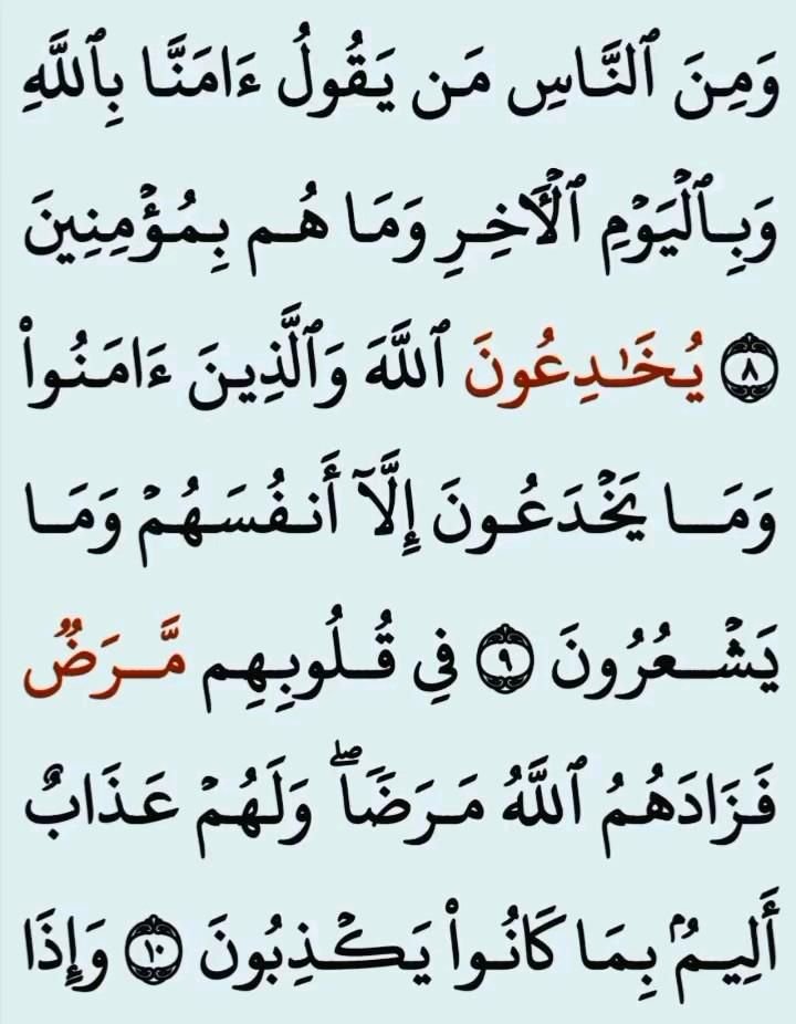 Engaging Quran Champion