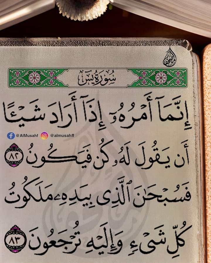 Educational Quran Scholar