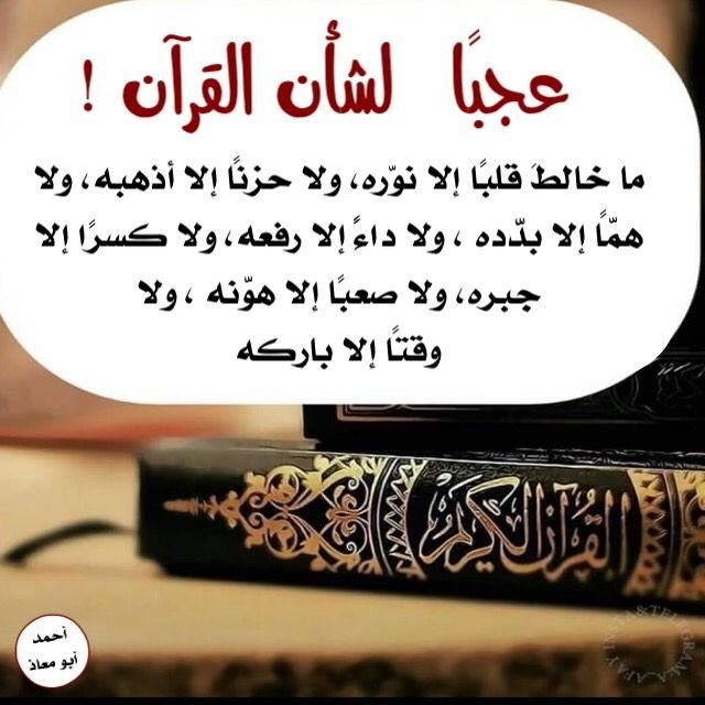 Delightful Quran Activity