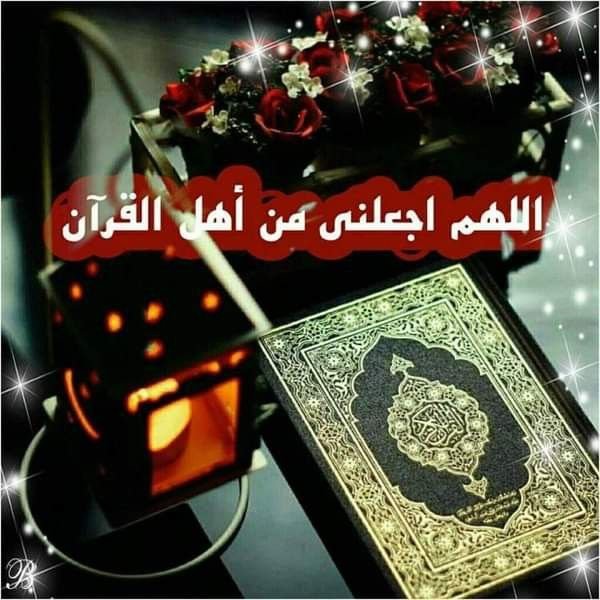 Cool Islamic Education