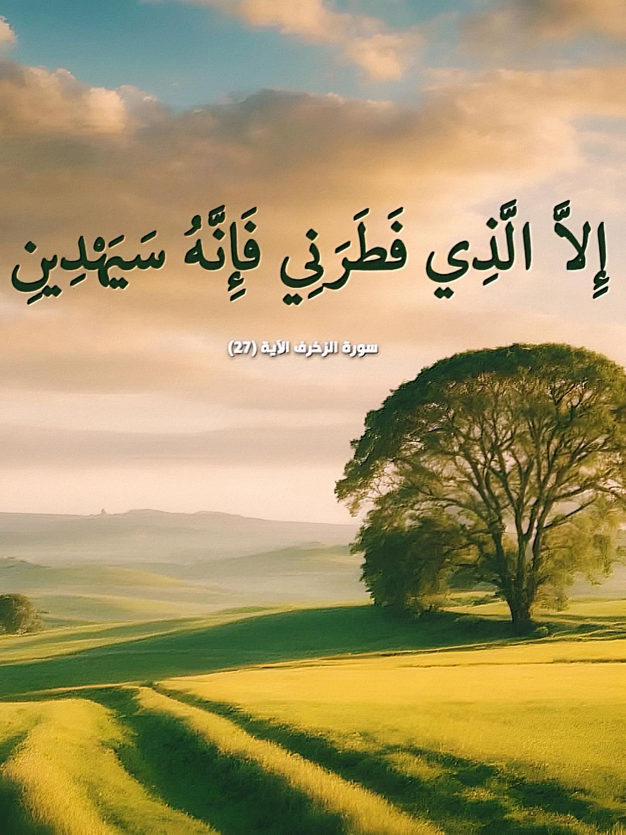 Quest Quran Match