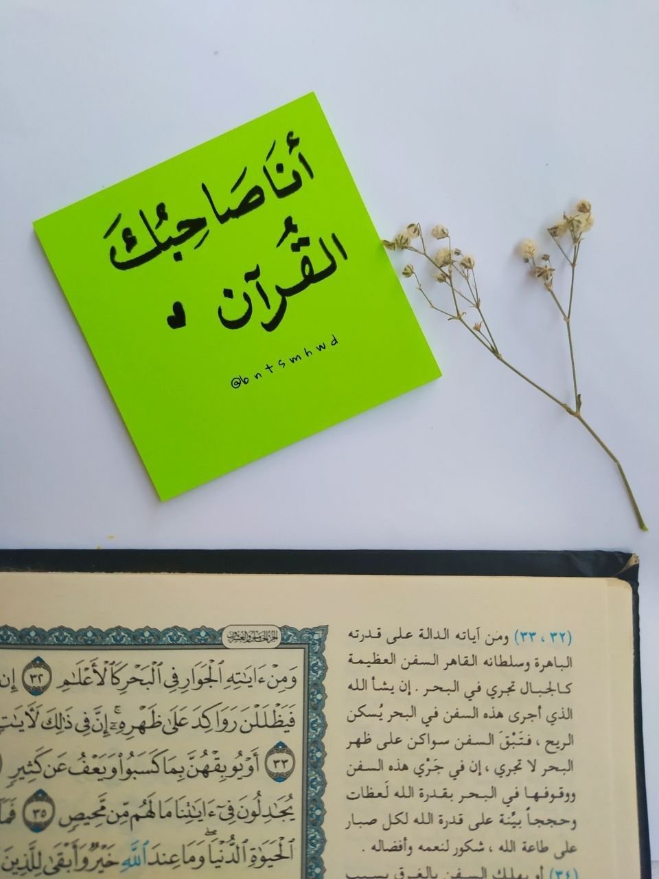 Mega Quran Whiz