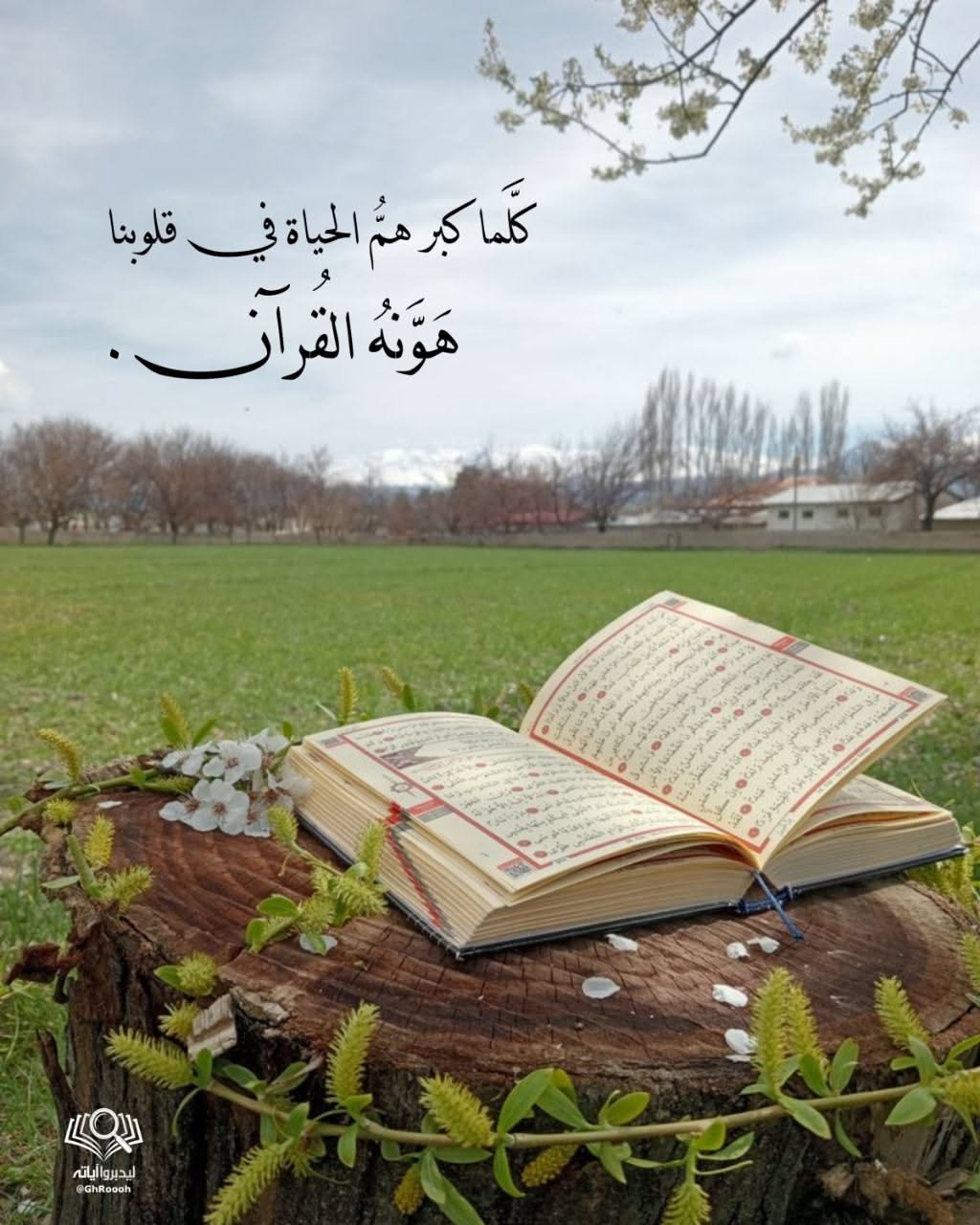 Fun Islamic Game