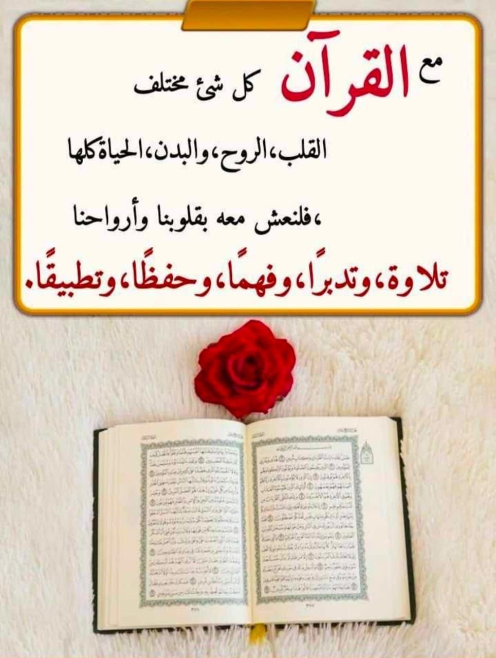 Fun Quran Trivia