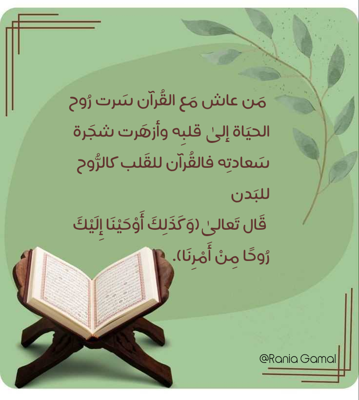 Joyful Quran Builder
