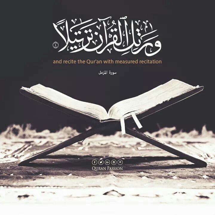 Learning Quran Scholar