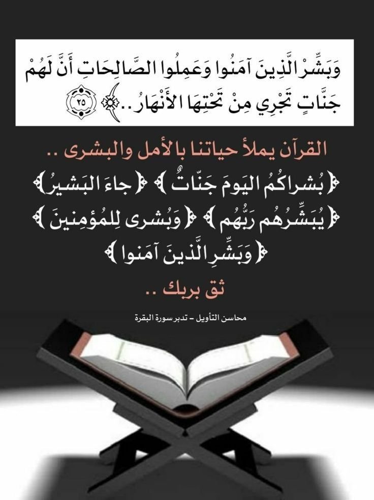 Playful Quran Star