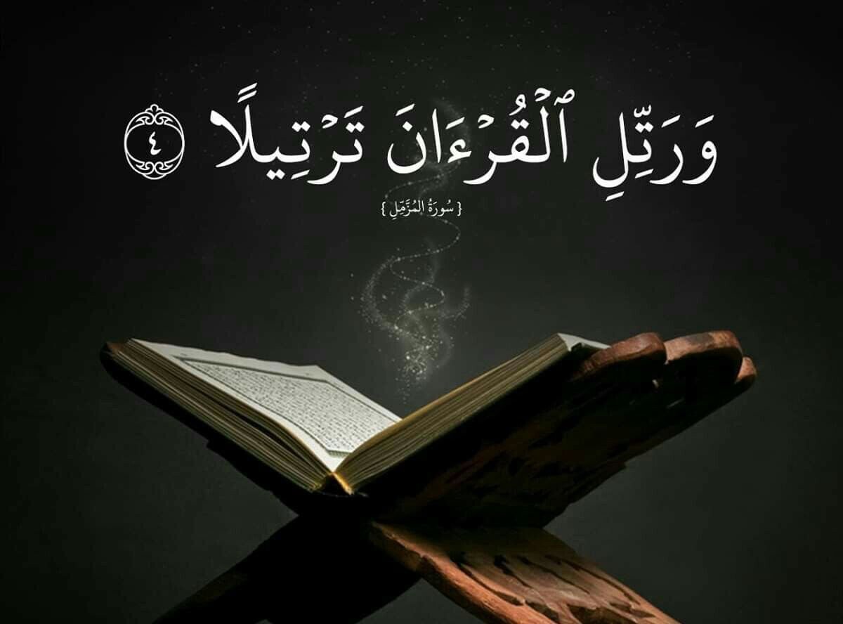 Delightful Quran Master
