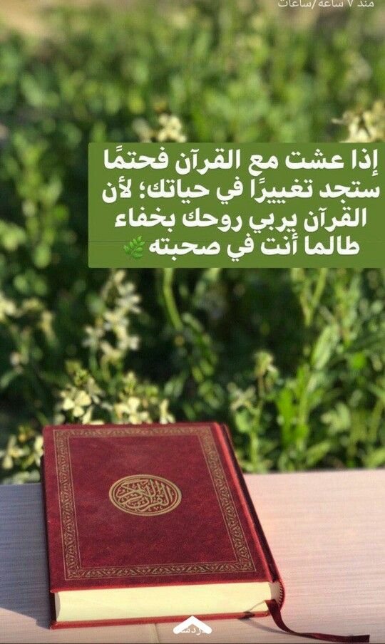 Learning Quran Quest