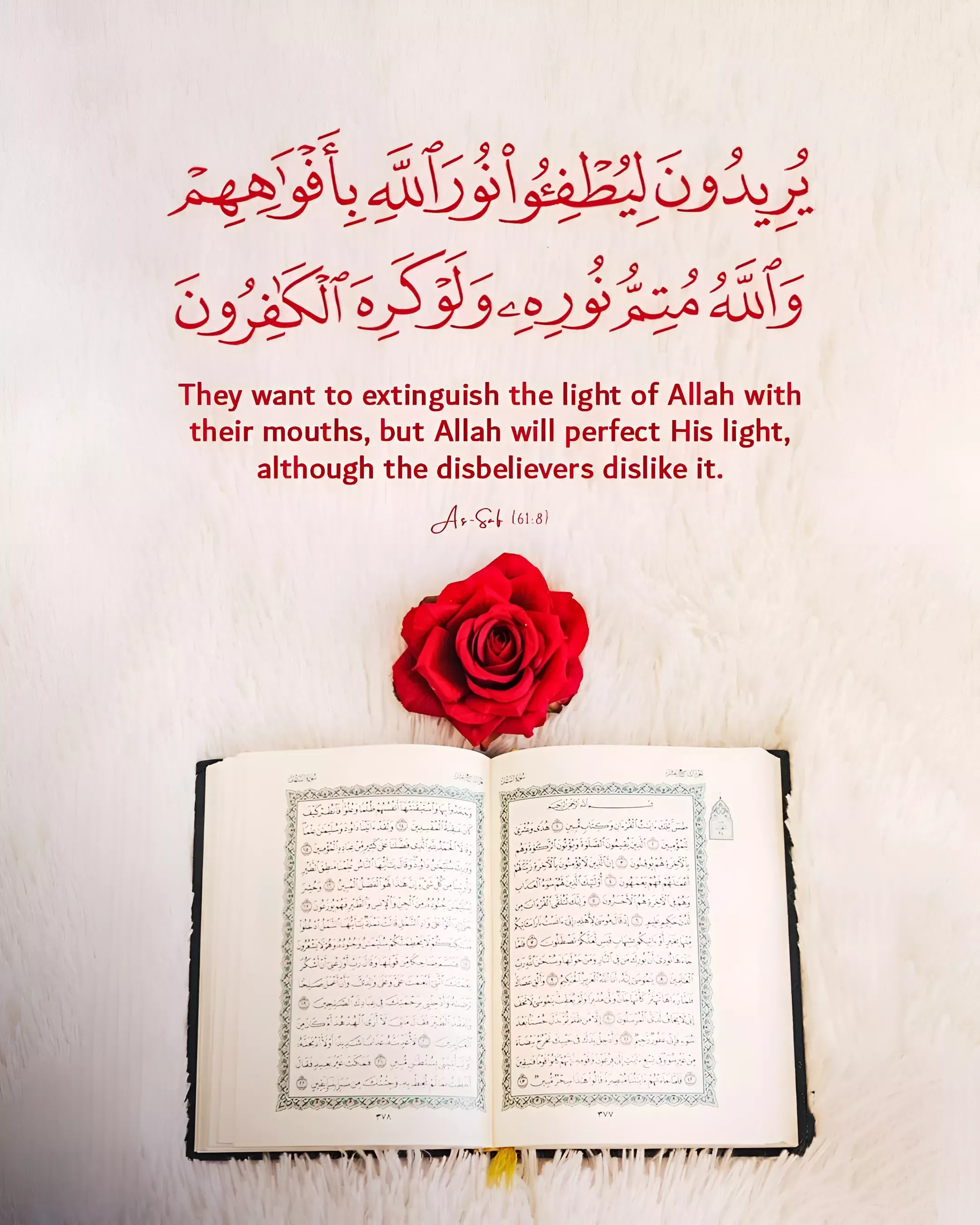 Fantastic Quran Trivia