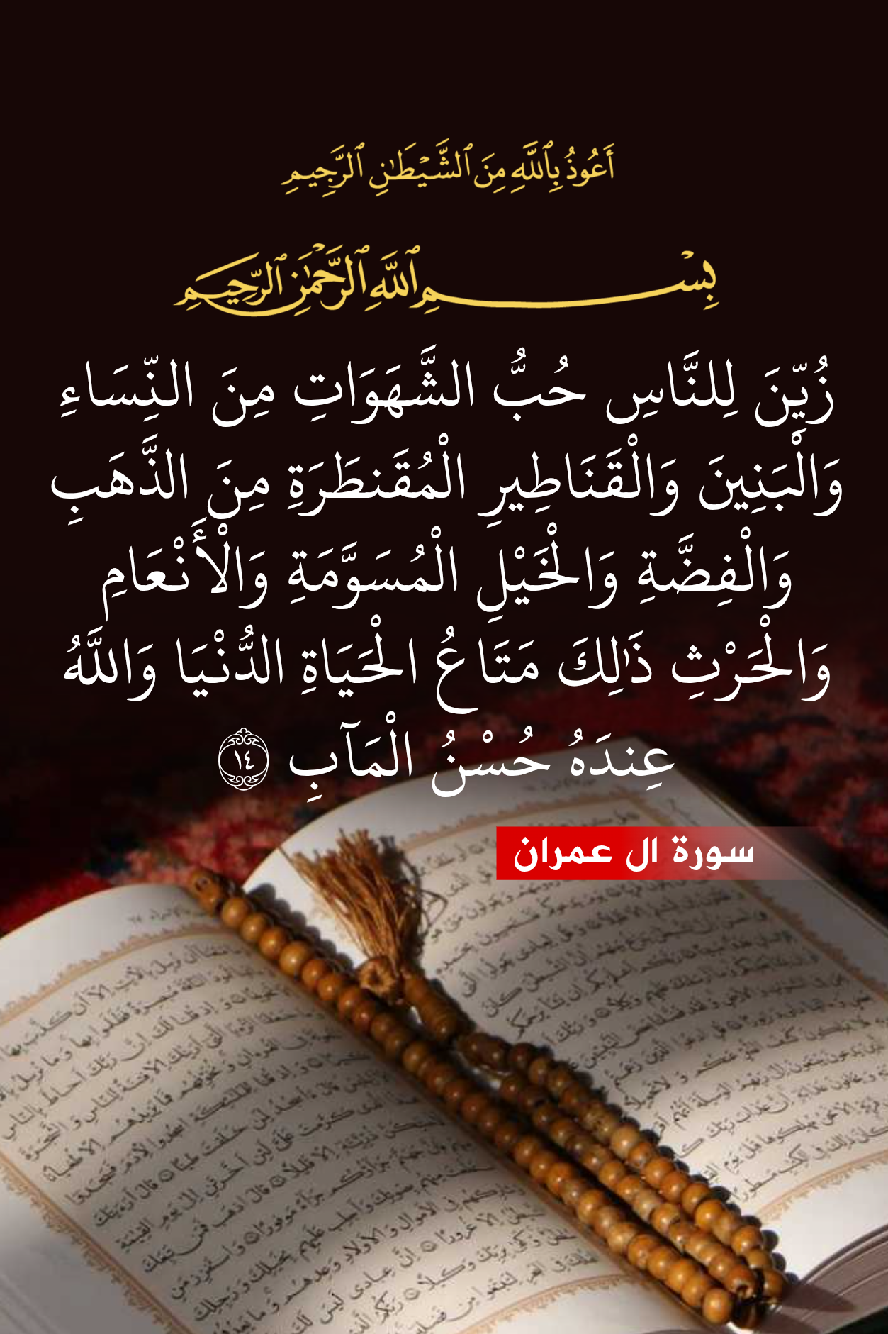 Colorful Quran Whiz