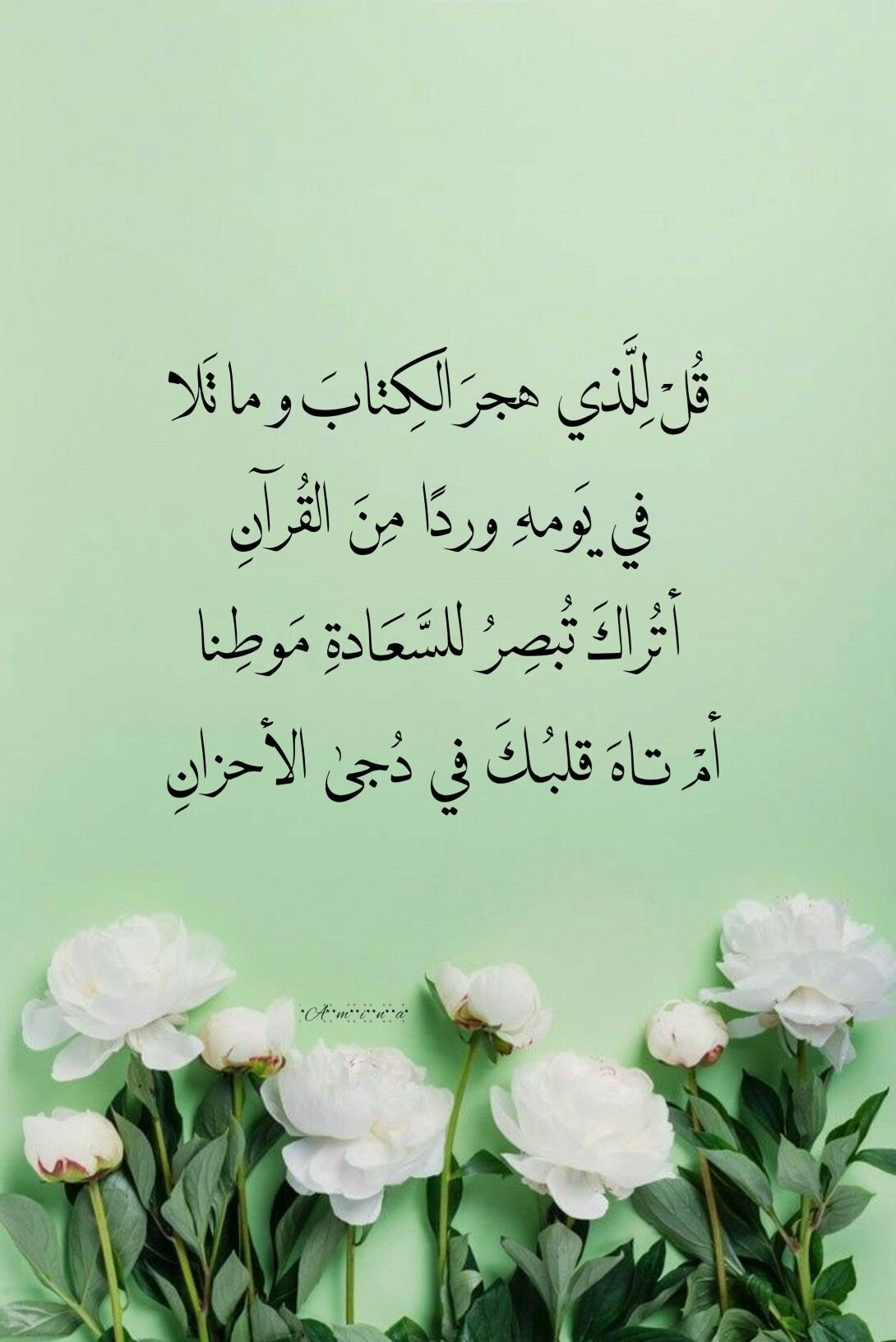 Epic Quran Brain Teaser