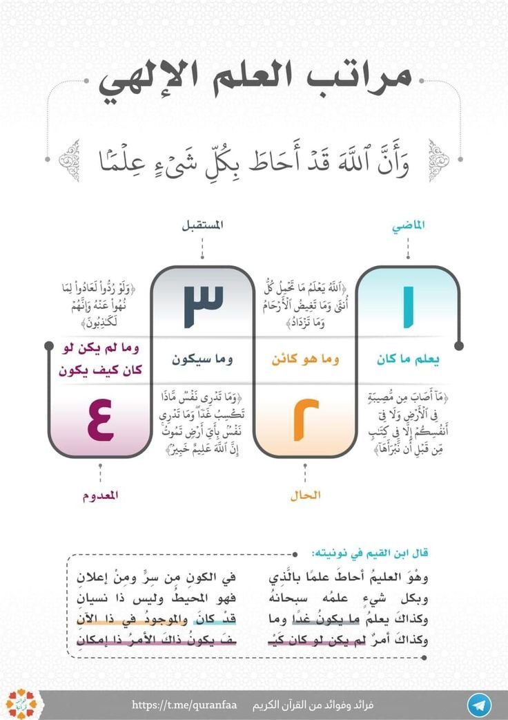Exciting Quran Journey