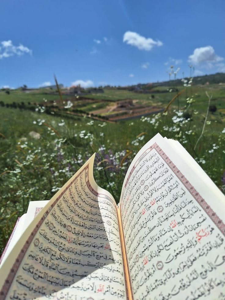 Serene Islamic Culture