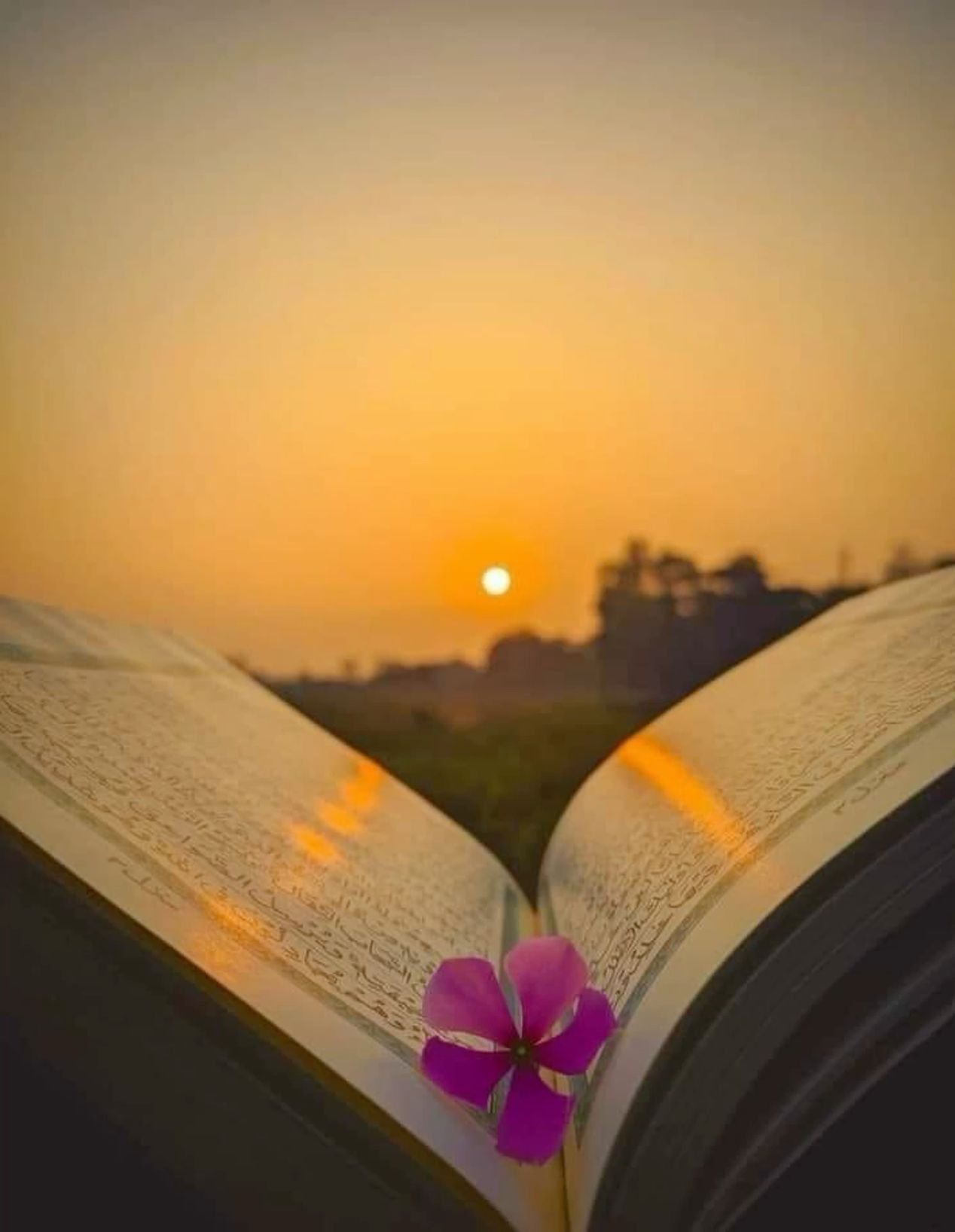 Graceful Faith Inspiration