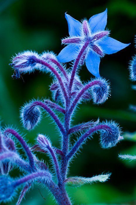 Green Plant Decor Ideas