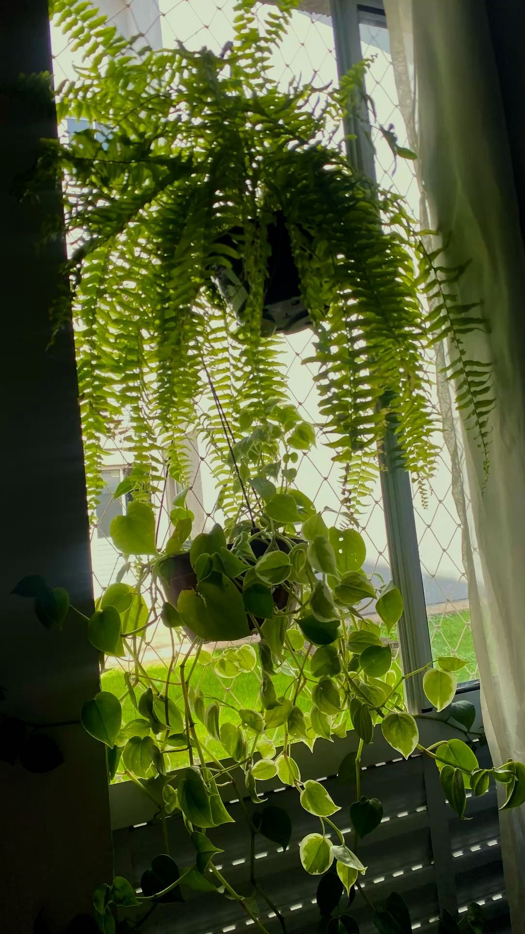 Lush Plant Interior Design 2