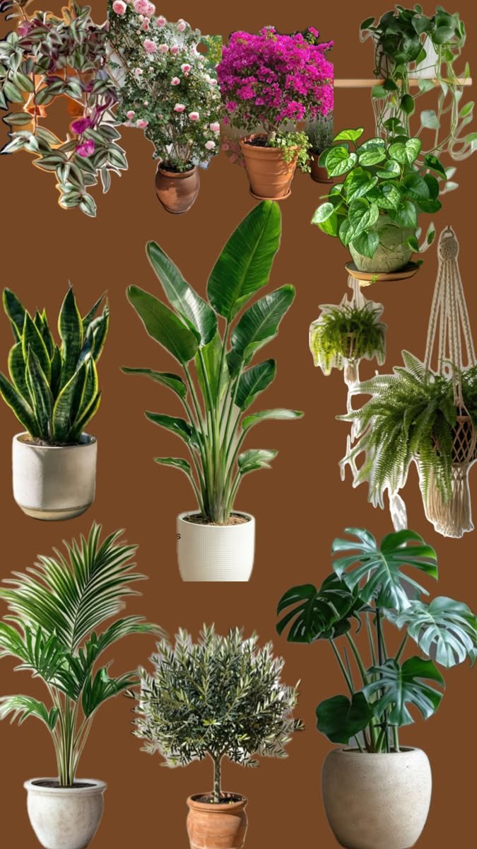 Lush Botanical Home Design 2