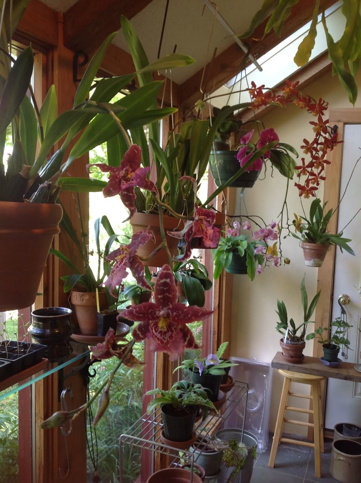 Greenery Plant Decor Inspiration 2