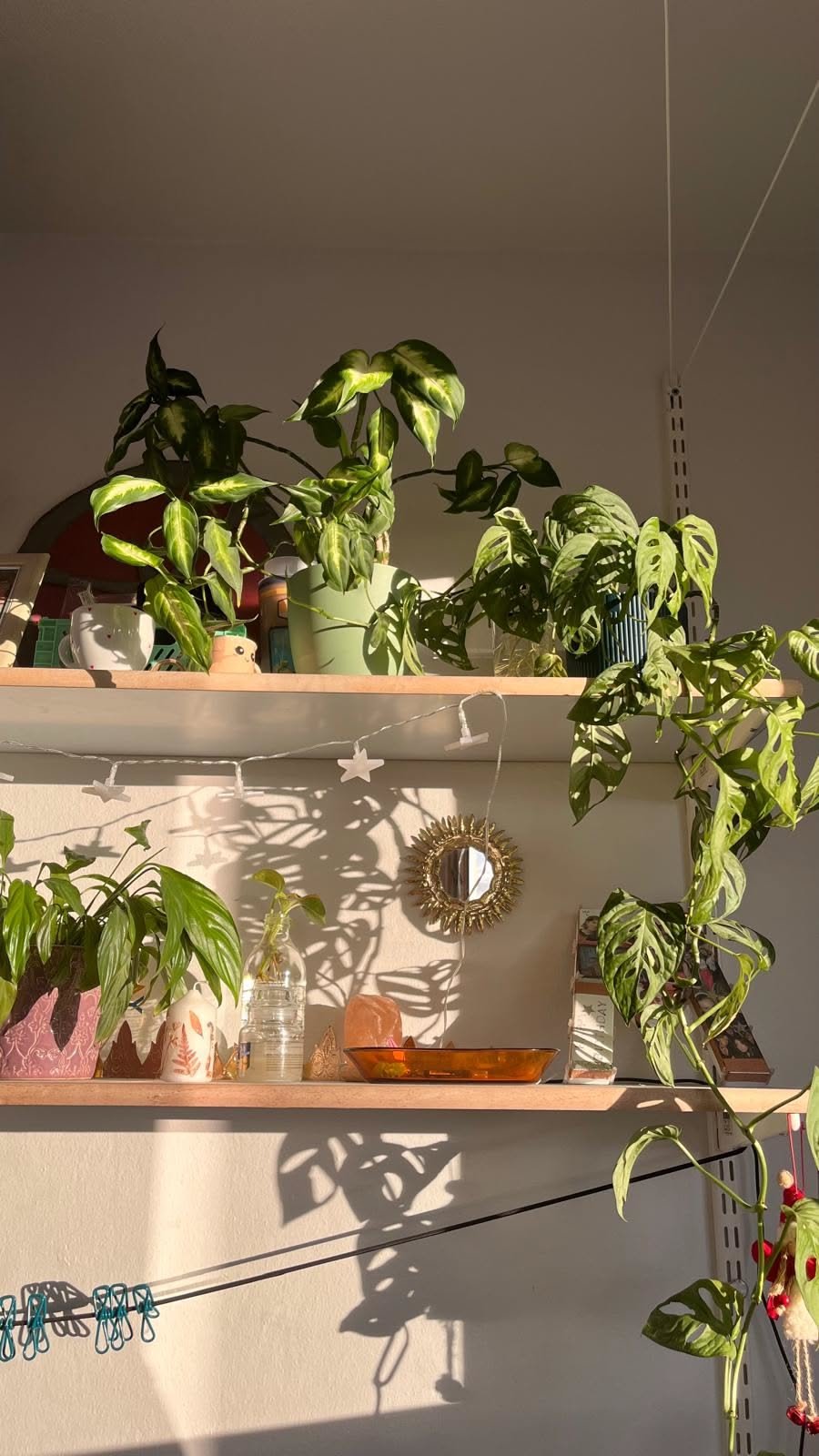 Green Plant Decor Ideas 2