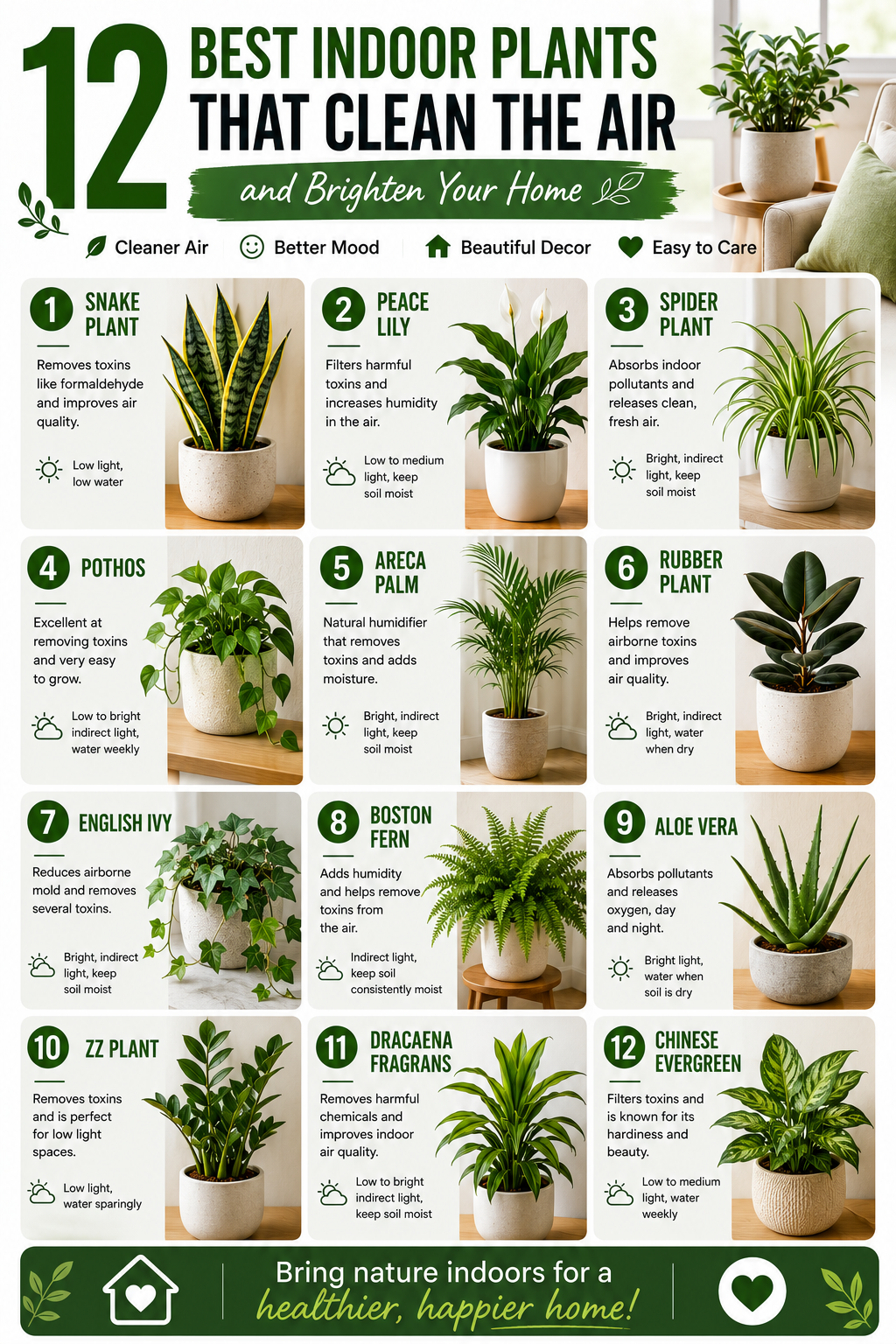 Green Houseplant Inspiration 2