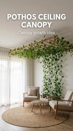 Practical Space-Saving Tip for Daily Inspiration