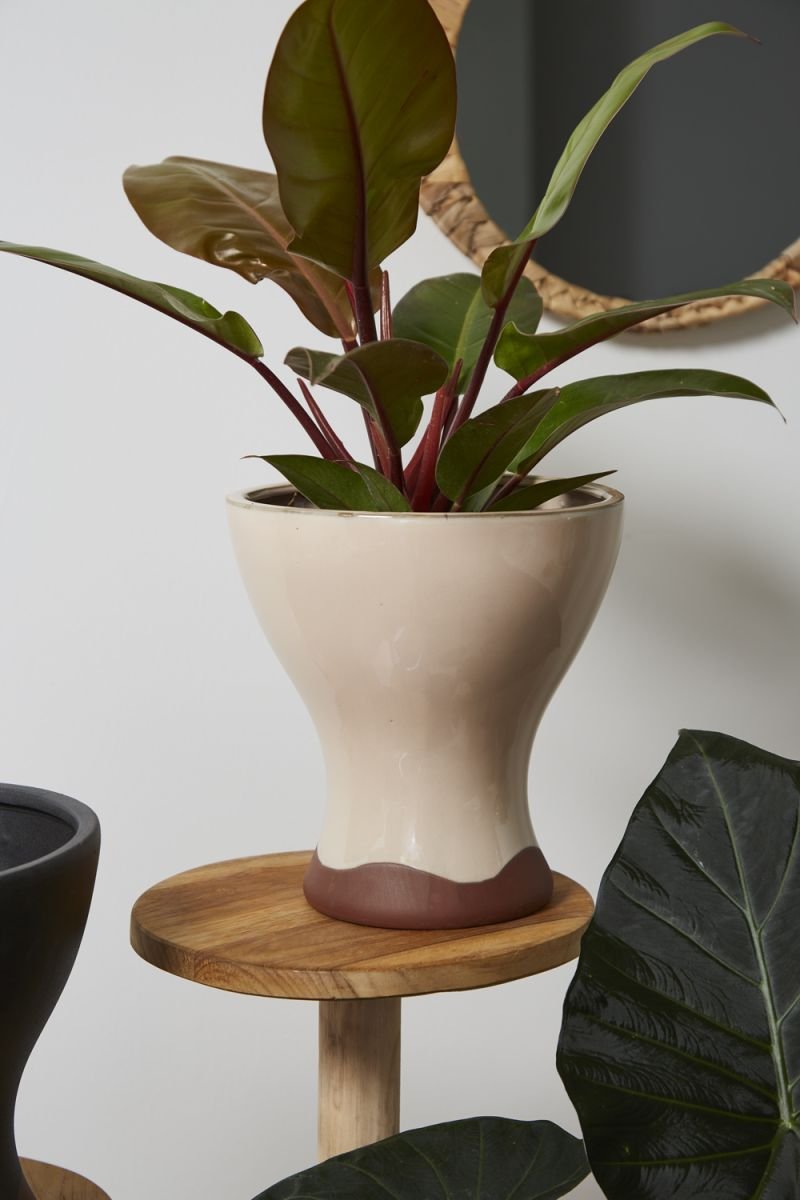 Interior Design Tip — Must See