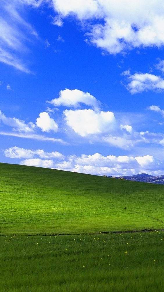 This 4K Wallpaper Is Going Viral