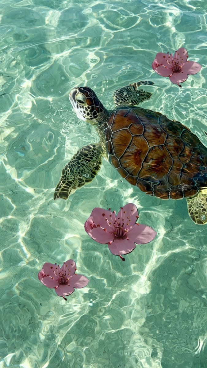 Screen Wallpaper That Will Inspire You