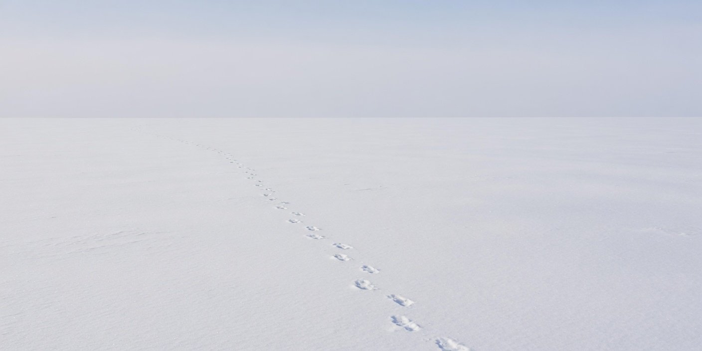 Simple Modern Minimal Wallpaper