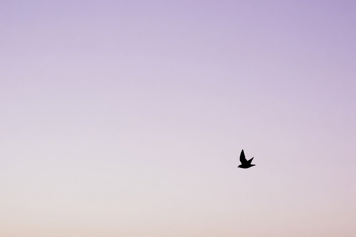 Minimalist Wallpaper Background Design
