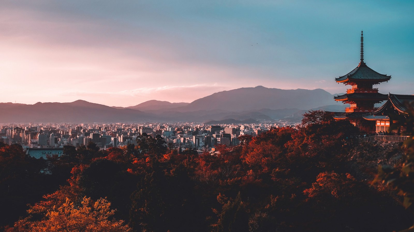 Nature Background Perfect for Your Feed